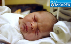 Zámbó Kevin, Mosonmagyaróvár