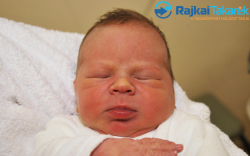 Hajós Ábrahám, 3600 gr. Mosonmagyaróvár