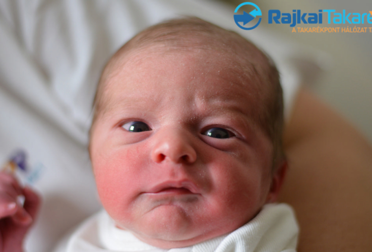 Pingicer Zalán, 2750 gr. Mosonmagyaróvár