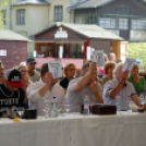 Szigetköz ízei, vármegye borai fesztivál / VÁRMEGYE SZÉPE - VÁRMEGYE HANGJA (Fotó: Horváth Attila)