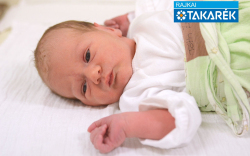 Tóth Zsófi, Mosonmagyaróvár