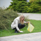 Szemét szedés (Fotó: Nagy Mária)