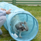 Pillangó Óvoda gyermeknap 2