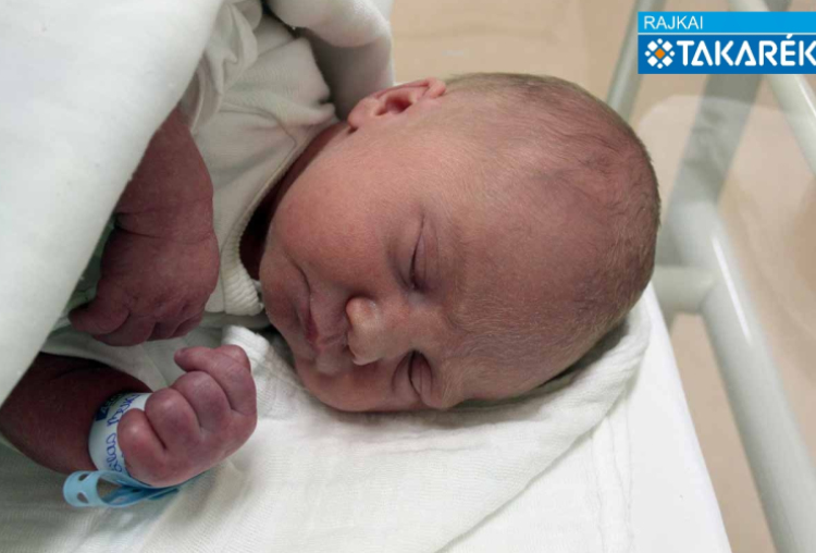 Tálas Bence, Mecsér