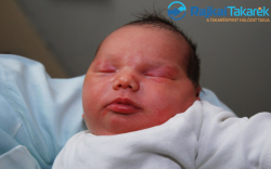 Tercz Patrik, 3270 gr. Kimle