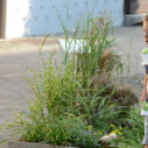 Kult - Utca  divatbemutató