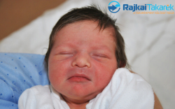 Gábora Péter, 3100 gr. Mosonmagyaróvár