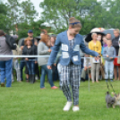 CAC kutyakiállítás (Fotó: Nagy Mária)