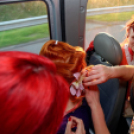 Japán Kert (Fotó: Horváth Attila)