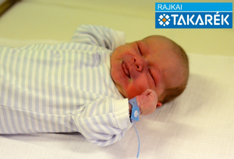 Németh Martin, Győrsövényháza