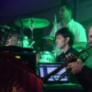 Szigetköz ízei, Vármegye borai Fesztivál 1. nap (Fotó: Bánhegyi István)