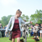 CAC kutyakiállítás (Fotó: Nagy Mária)