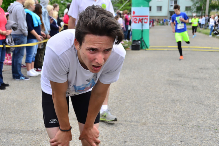 XII. Greiner Szigetköz Minimaraton (Fotó: Horváth Attila)