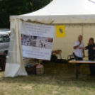 Voluta 2014 szombat /versenyek/