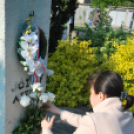 Költészet napi koszorúzás a József Attila szobornál (Fotó: Nagy Mária)