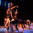 Ünnepi gálaműsor a tánc világnapja tiszteletére - Szigeti Gábor táncpedagógus emlékére