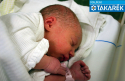 Kovács Maja Zselyke, Mosonmagyaróvár