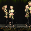 Ünnepi gálaműsor a tánc világnapja tiszteletére - Szigeti Gábor táncpedagógus emlékére