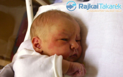 Odorics Zétény, Beled