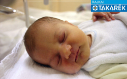 Takács Eszter, Mosonmagyaróvár