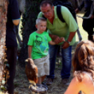  Szigetköz ízei, Vármegye borai Fesztivál 2. nap (Fotó: Stipkovits Veronika, Bánhegyi István)