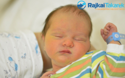 Kovács Zoltán Martin, 3750 gr. Móvár