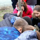 Kőrisfacsemetéket ültettek a diákok a Nolato Magyarország Kft telephelyén