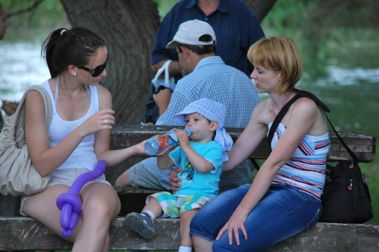 2 Kéklámpás nap (Fotó: Nagy Mária)