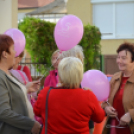 Lajta hídi séta 2015 (fotó: Patács Judit)