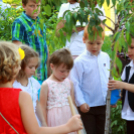  Ballagás a Pillangó Óvodában és Mini Bölcsődében