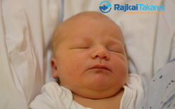 Fodor Linda Éva, Mosonmagyaróvár