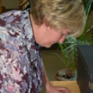 Emlékezzünk a Nagy Háborúra (Fotó: Bánhegyi István)