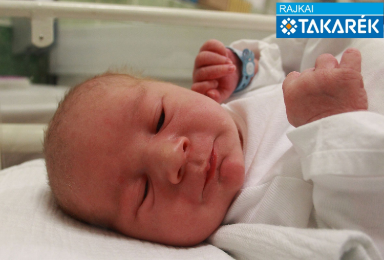 Pirger Rajmond, Hédervár