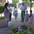 Apró kezek-Csodakertek: A közönségszavazás eredménye