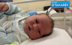 Stencinger Bálint, Mosonmagyaróvár