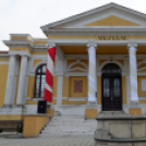 2015. MÁRCIUS 15. Mosonmagyaróvár (Fotó: Horváth Attila)