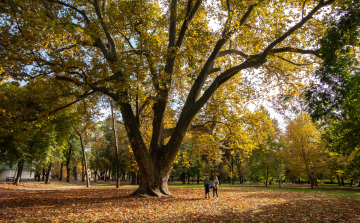 Szallas.hu: Budapest, Eger és Pécs az őszi utazók kedvenc városai
