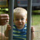 Városi Majális 2018