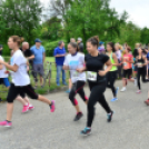 XII. Greiner Szigetköz Minimaraton (Fotó: Horváth Attila)