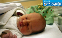 Körmendi Marcell, Jánossomorja