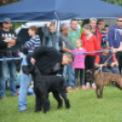 CAC kutyakiállítás (Fotó: Nagy Mária)