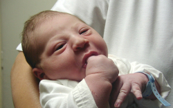 Fettik Máté-3900-Móvár