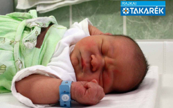 Licskai Dominik, Bősárkány