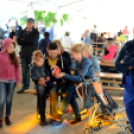 Majoroki Fesztivál (Fotó: Bánhegyi István)