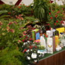 Termény- és virágkiállítás 