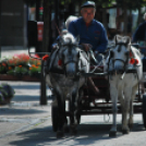 Szent Mihály napok (Fotó: Nagy Mária)