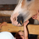 Pillangó Óvoda lovas nap és piknik (Fotó: Stipkovits Veronika)