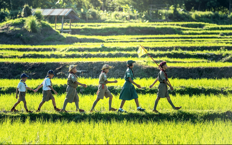 Pályázat nyári napközis táboroztatásra