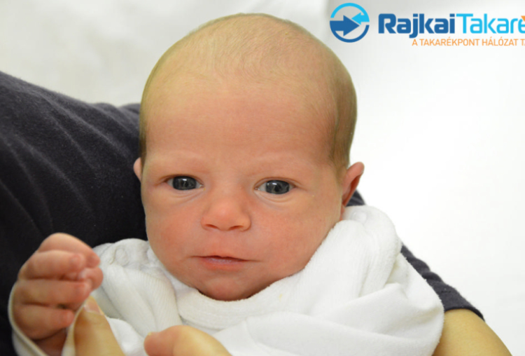 Horváth Zsombor, 3020 gr. Sopron