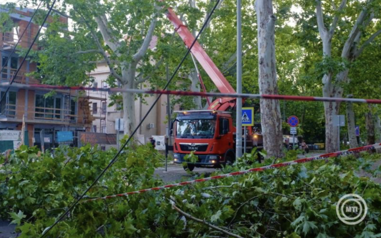 Vihar - OKF: csaknem háromezer viharkárt számoltak fel a katasztrófavédelem tűzoltóegységei